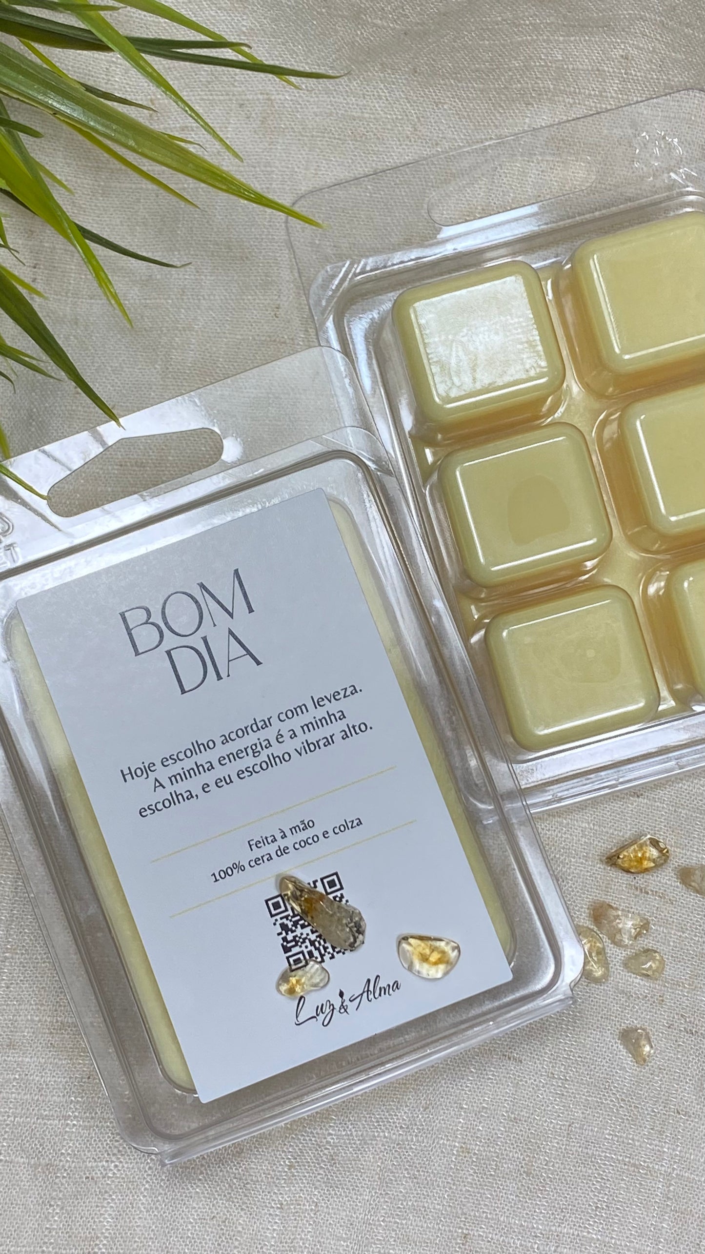 Wax Melt Bom Dia