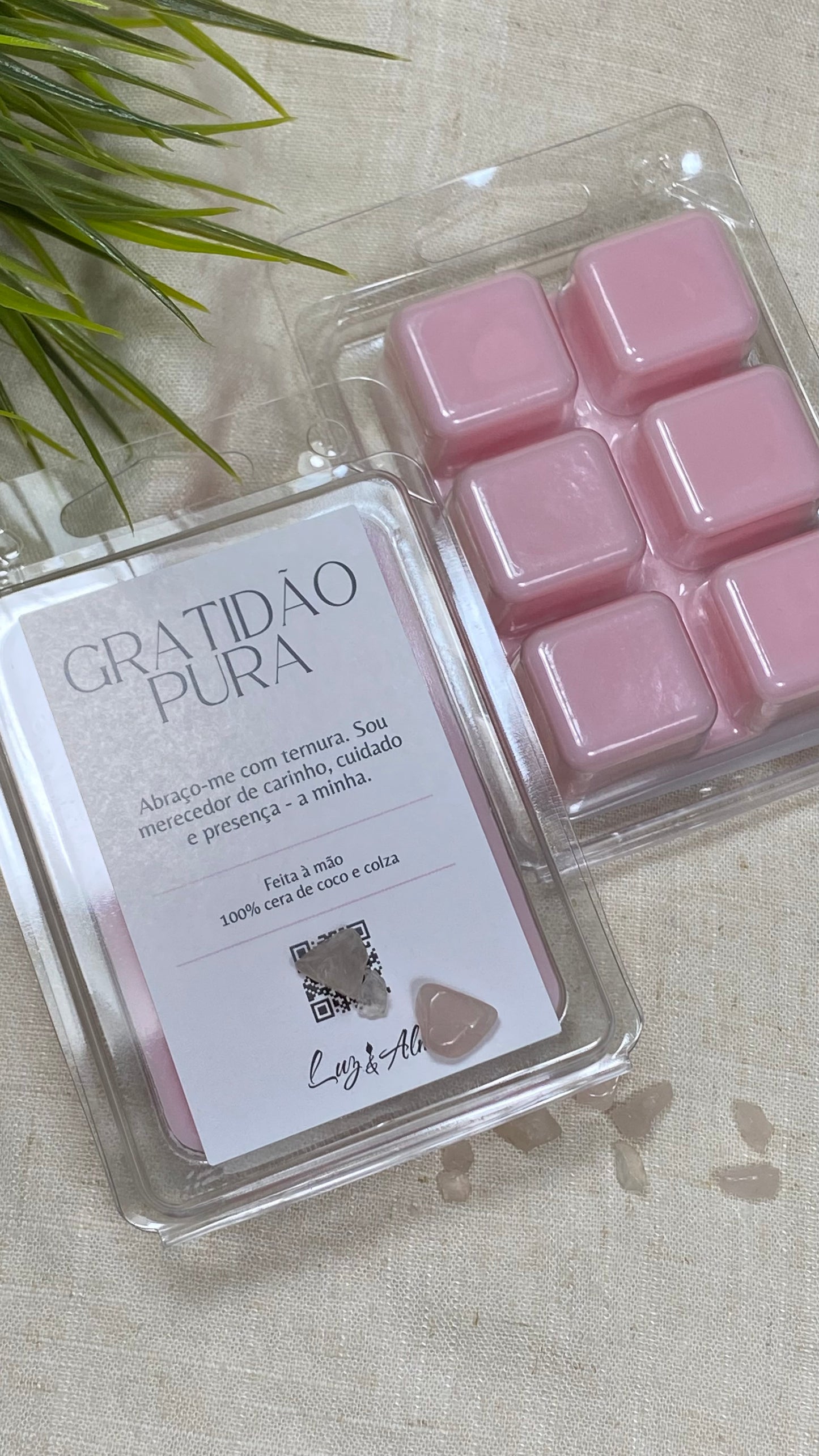 Wax Melt Gratidão Pura